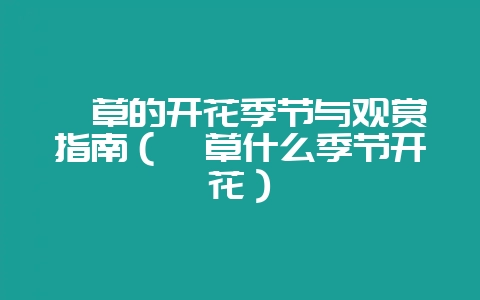萱草的开花季节与观赏指南（萱草什么季节开花）-会东网