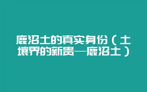 鹿沼土的真实身份(土壤界的新贵—鹿沼土)-会东网