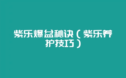 紫乐爆盆秘诀（紫乐养护技巧）-会东网