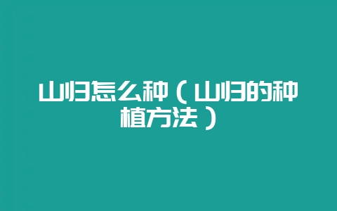 山归怎么种（山归的种植方法）-会东网