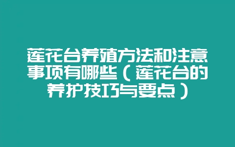 莲花台养殖方法和注意事项有哪些(莲花台的养护技巧与要点)-会东网