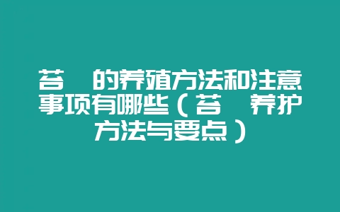 苔藓的养殖方法和注意事项有哪些（苔藓养护方法与要点）-会东网