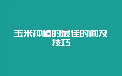 玉米种植的最佳时间及技巧-会东网