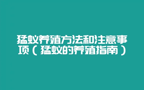 猛蚁养殖方法和注意事项（猛蚁的养殖指南）-会东网