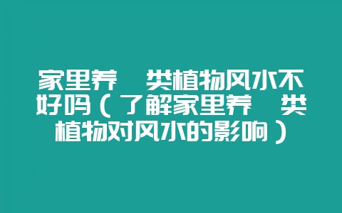 家里养蕨类植物风水不好吗（了解家里养蕨类植物对风水的影响）-会东网