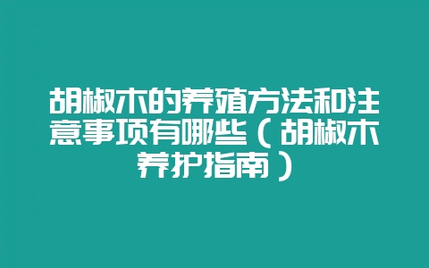 胡椒木的养殖方法和注意事项有哪些（胡椒木养护指南）-会东网