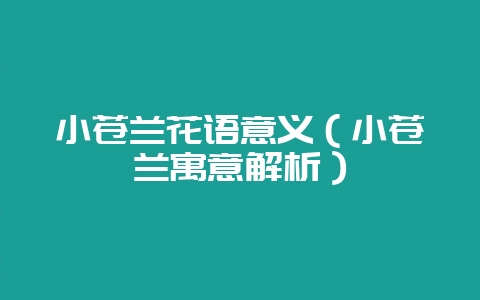 小苍兰花语意义（小苍兰寓意解析）-会东网