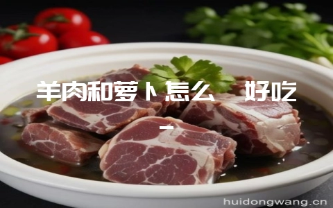羊肉和萝卜怎么炖好吃_-会东网
