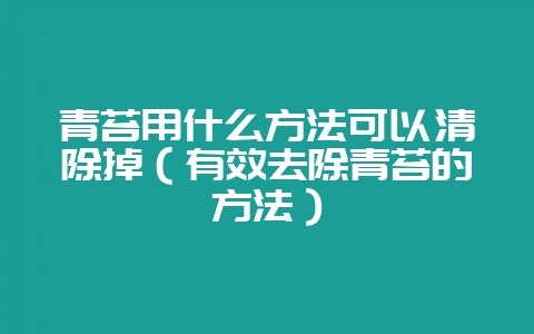 青苔用什么方法可以清除掉(有效去除青苔的方法)-会东网