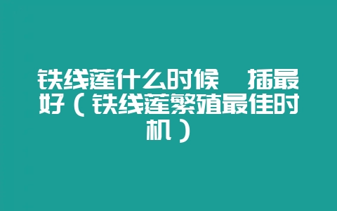 铁线莲什么时候扦插最好(铁线莲繁殖最佳时机)-会东网