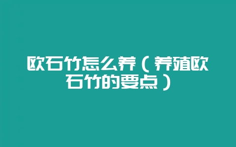 欧石竹怎么养(养殖欧石竹的要点)插图 欧石竹怎么养(养殖欧石竹的要点)插图