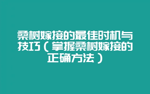 桑树嫁接的最佳时机与技巧（掌握桑树嫁接的正确方法）-会东网