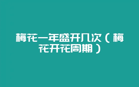 梅花一年盛开几次（梅花开花周期）-会东网
