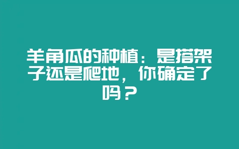 羊角瓜的种植:是搭架子还是爬地,你确定了吗?-会东网