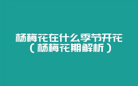 杨梅花在什么季节开花（杨梅花期解析）-会东网