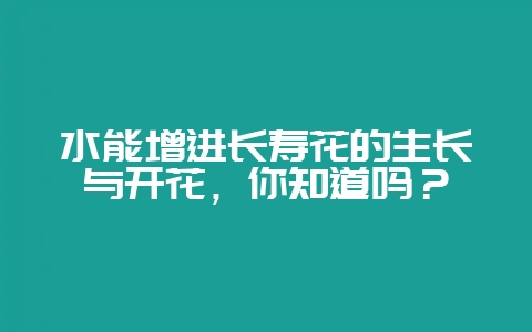 水能增进长寿花的生长与开花，你知道吗？-会东网