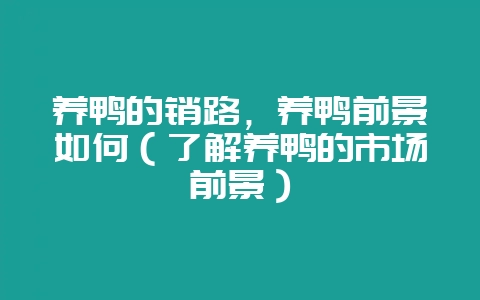 养鸭的销路，养鸭前景如何（了解养鸭的市场前景）-会东网