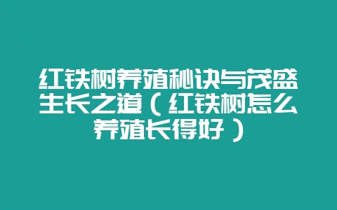 红铁树养殖秘诀与茂盛生长之道（红铁树怎么养殖长得好）-会东网