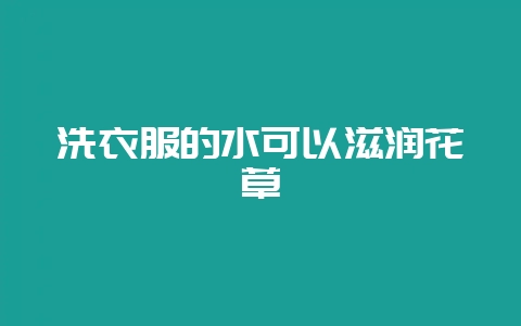 洗衣服的水可以滋润花草-会东网