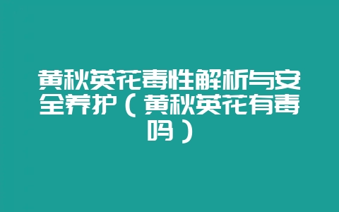 黄秋英花毒性解析与安全养护（黄秋英花有毒吗）-会东网