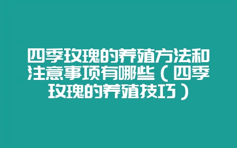 四季玫瑰的养殖方法和注意事项有哪些（四季玫瑰的养殖技巧）-会东网