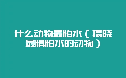 什么动物最怕水（揭晓最惧怕水的动物）-会东网