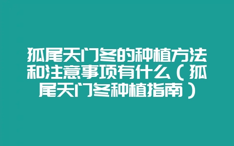 狐尾天门冬的种植方法和注意事项有什么（狐尾天门冬种植指南）-会东网