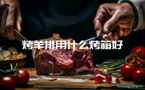 烤羊排用什么烤箱好-会东网