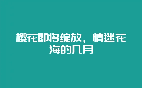 樱花即将绽放，情迷花海的几月-会东网
