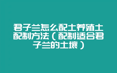 君子兰怎么配土养殖土配制方法（配制适合君子兰的土壤）-会东网