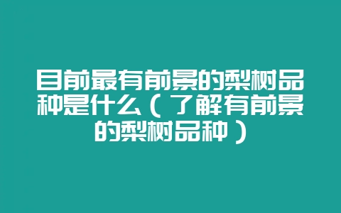 目前最有前景的梨树品种是什么(了解有前景的梨树品种)-会东网