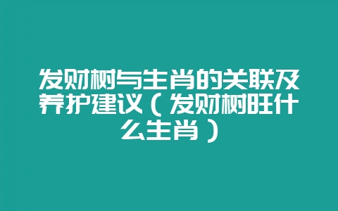 发财树与生肖的关联及养护建议（发财树旺什么生肖）-会东网