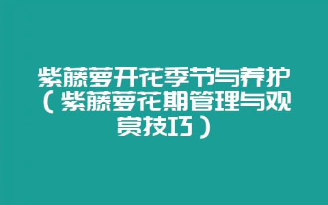 紫藤萝开花季节与养护（紫藤萝花期管理与观赏技巧）-会东网