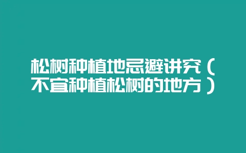 松树种植地忌避讲究(不宜种植松树的地方)-会东网
