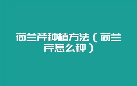 荷兰芹种植方法(荷兰芹怎么种)-会东网