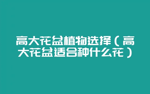 高大花盆植物选择(高大花盆适合种什么花)-会东网