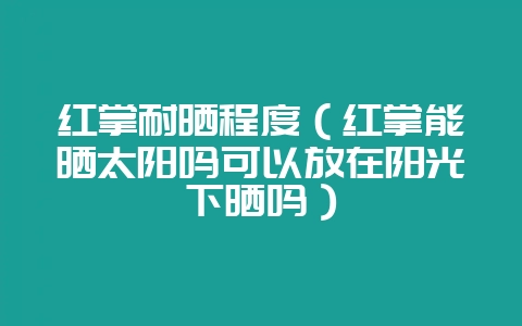 红掌耐晒程度（红掌能晒太阳吗可以放在阳光下晒吗）-会东网