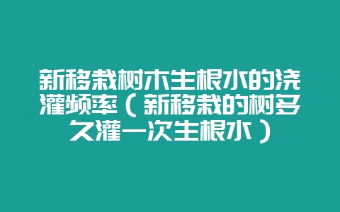 新移栽树木生根水的浇灌频率（新移栽的树多久灌一次生根水）-会东网