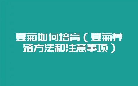 夏菊如何培育(夏菊养殖方法和注意事项)-会东网