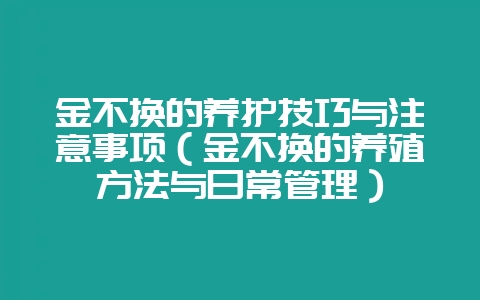 金不换的养护技巧与注意事项（金不换的养殖方法与日常管理）-会东网