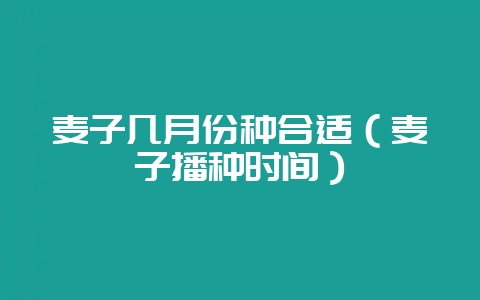 麦子几月份种合适（麦子播种时间）-会东网