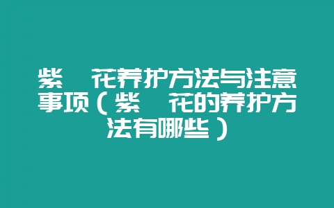 紫苑花养护方法与注意事项（紫苑花的养护方法有哪些）-会东网