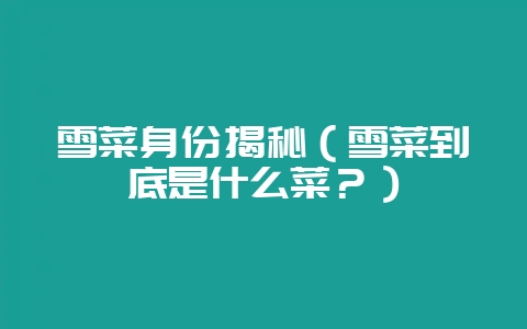 雪菜身份揭秘(雪菜到底是什么菜?)-会东网