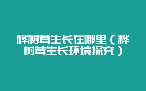 桦树茸生长在哪里（桦树茸生长环境探究）-会东网