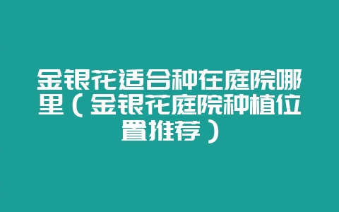 金银花适合种在庭院哪里（金银花庭院种植位置推荐）-会东网