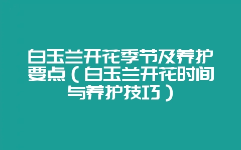 白玉兰开花季节及养护要点(白玉兰开花时间与养护技巧)-会东网