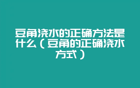 豆角浇水的正确方法是什么(豆角的正确浇水方式)-会东网