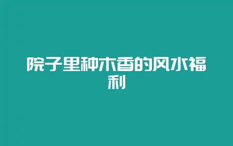 院子里种木香的风水福利-会东网
