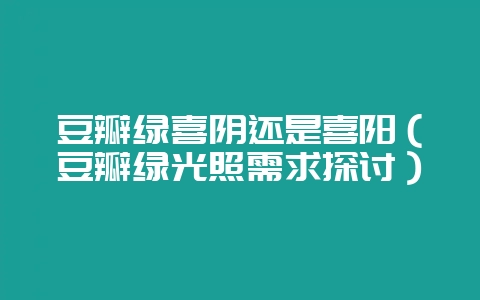 豆瓣绿喜阴还是喜阳（豆瓣绿光照需求探讨）-会东网