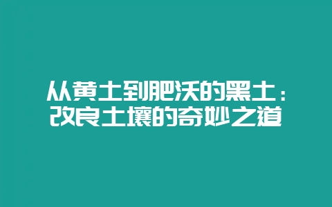 从黄土到肥沃的黑土:改良土壤的奇妙之道-会东网